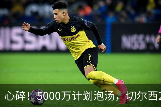 心碎！5000万计划泡汤，切尔西24小时截胡新星，国米马洛塔真束手无策？